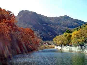 正版澳门天天开彩大全，泛目录程序